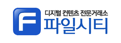 파일시티